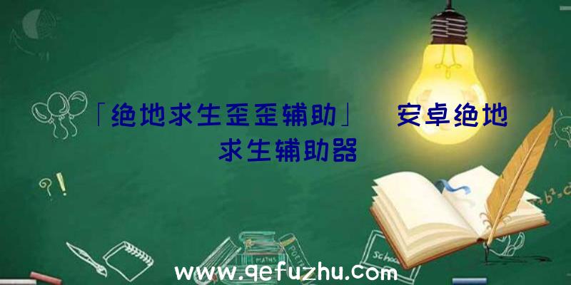 「绝地求生歪歪辅助」|安卓绝地求生辅助器